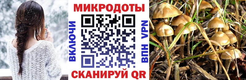 mega сайт  Урюпинск  Галлюциногенные грибы GOLDEN TEACHER  хочу  